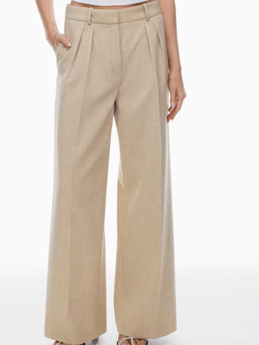 Aritzia Wilfred Founder Pant Beige Pleated Dress Pants straight leg tan beige 2